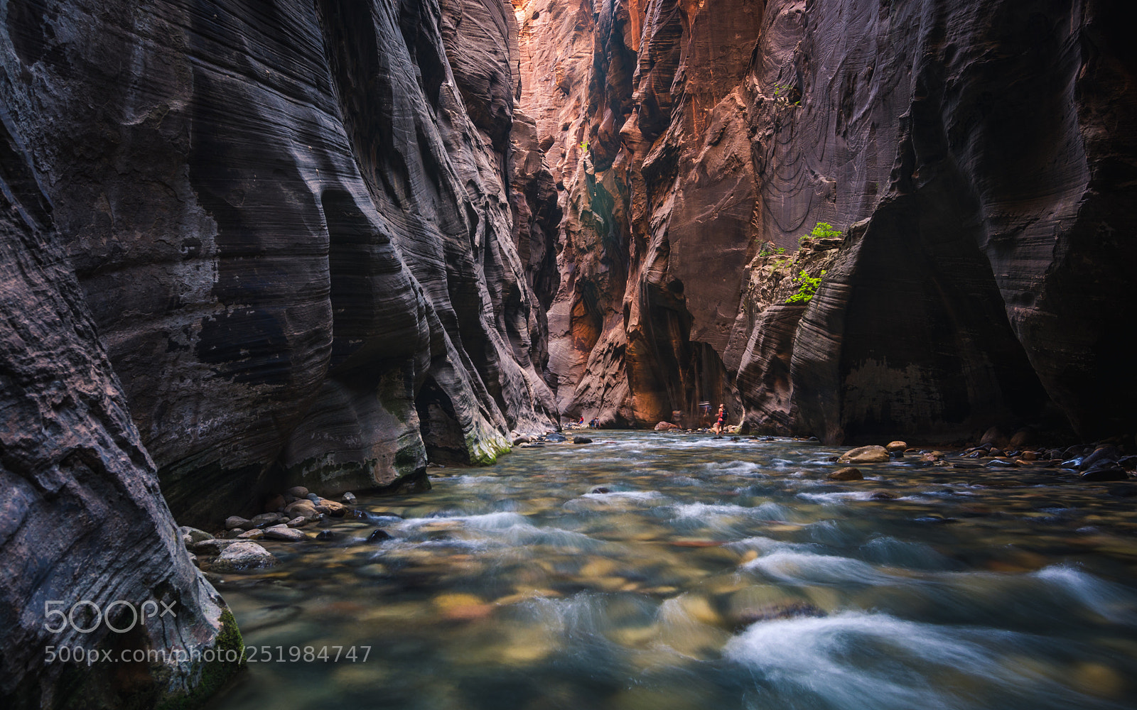Nikon D7100 sample photo. Explore zion narrows photography
