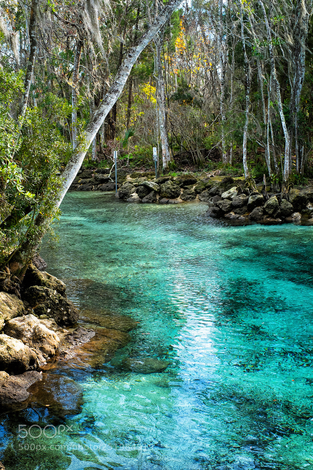 Fujifilm X-Pro1 sample photo. Three sisters springs photography