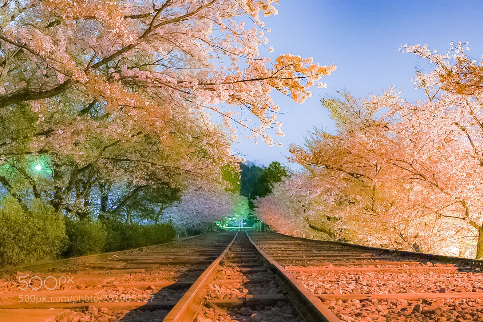 Nikon D7200 sample photo. 蹴上インクライン photography