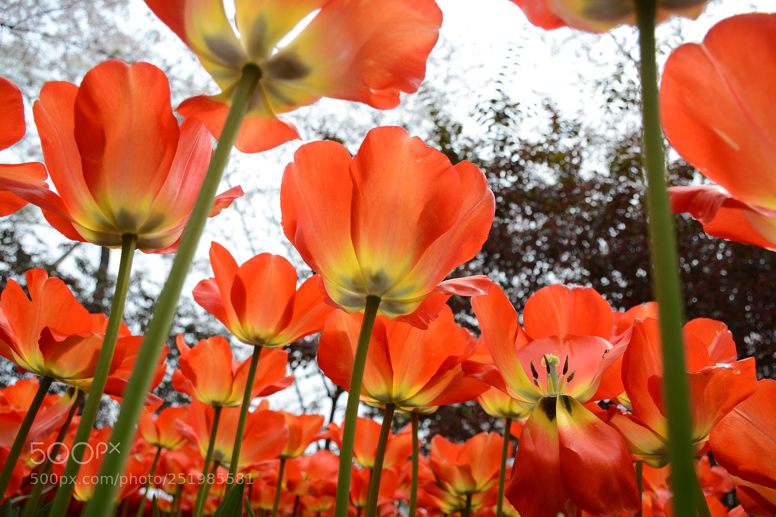 Nikon D7100 sample photo. Mmexport photography