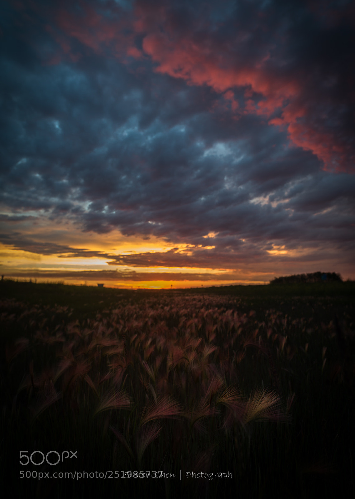 Nikon D810 sample photo. Edit photography