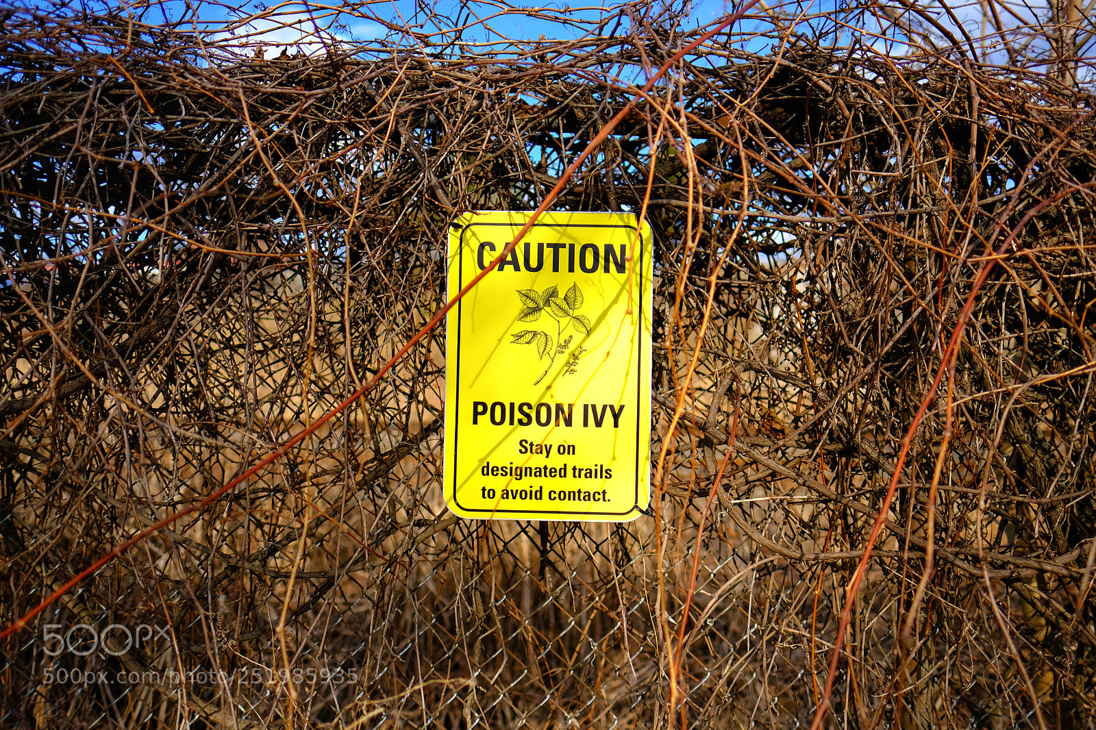 Fujifilm X-T2 sample photo. Untitled photography