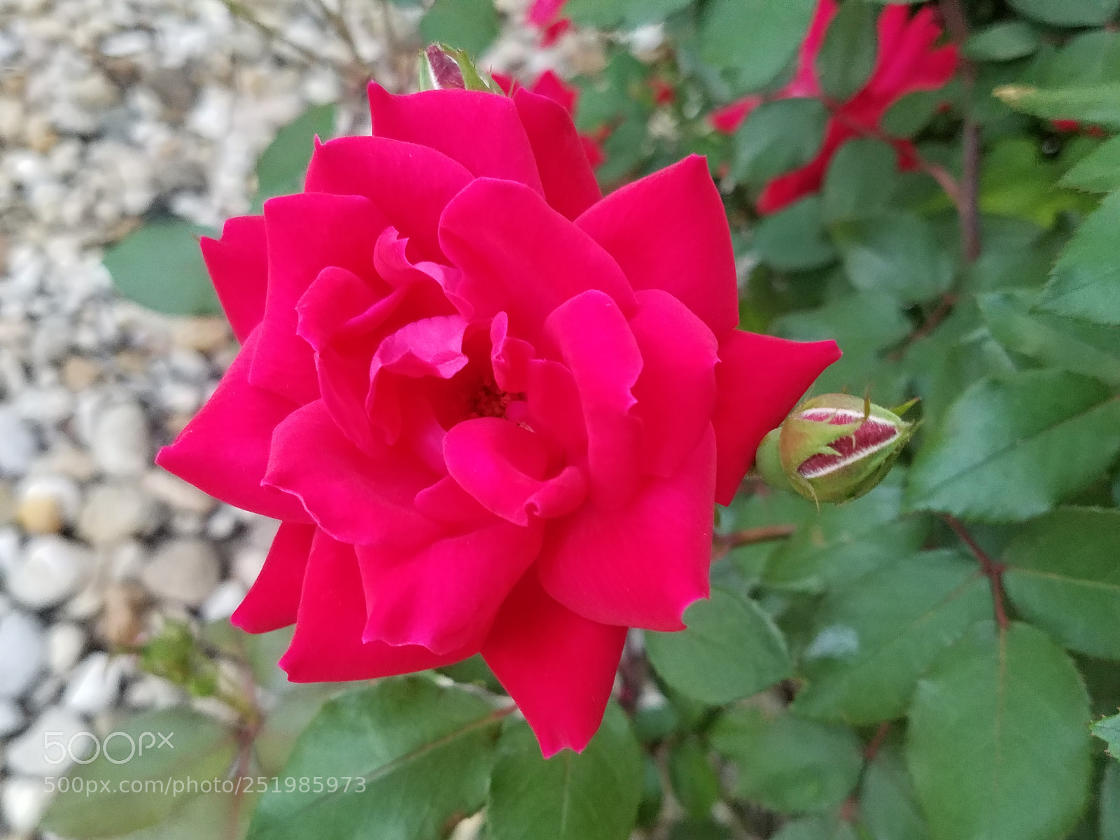 Samsung Galaxy S7 sample photo. Ltc photography
