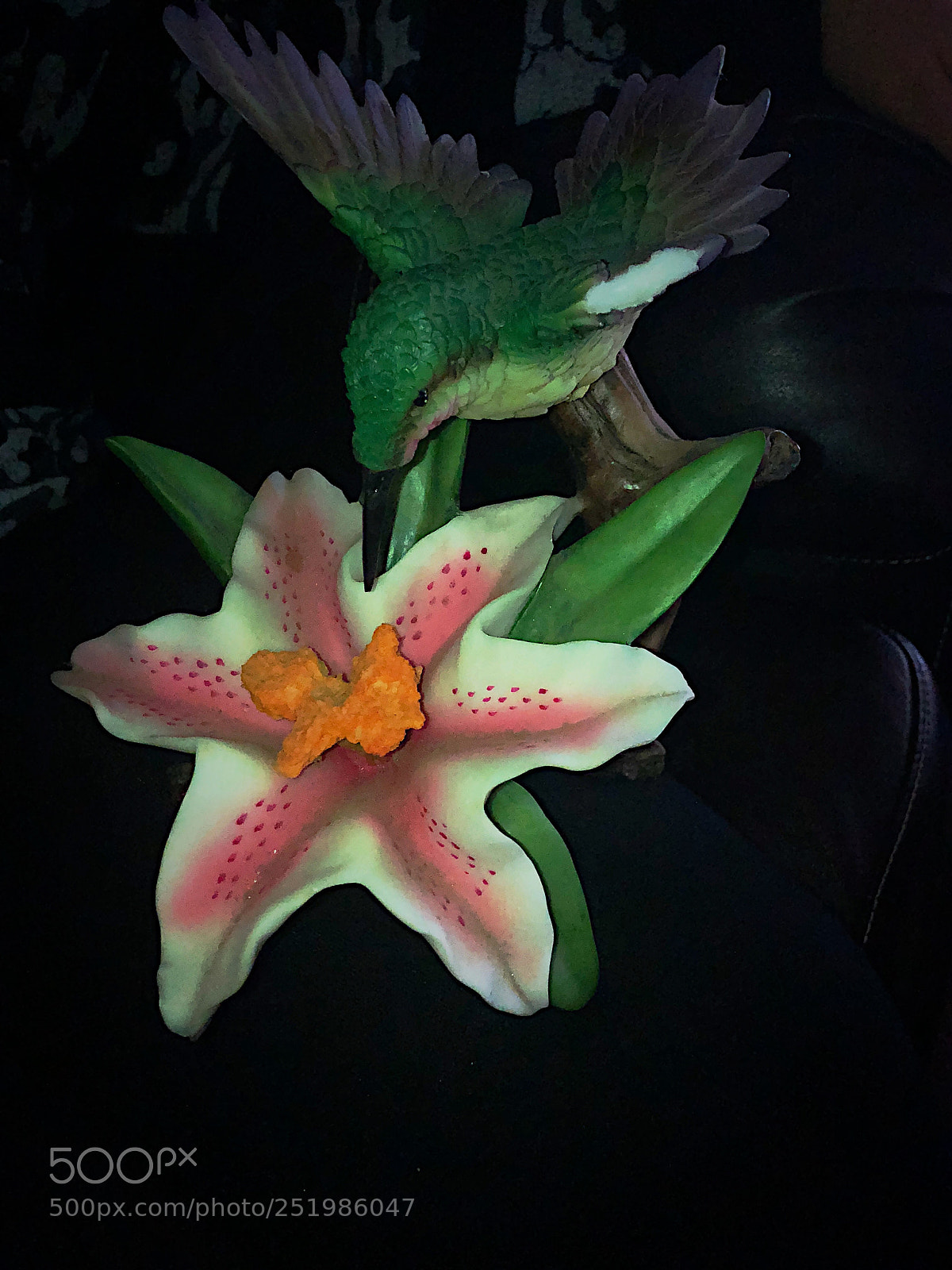 Apple iPhone 8 sample photo. Untitled photography