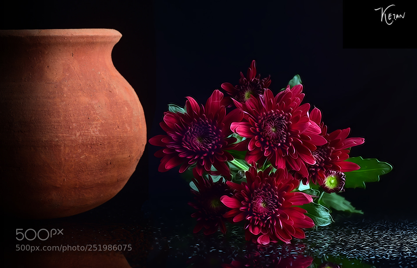 Nikon D810 sample photo. Flowers photography