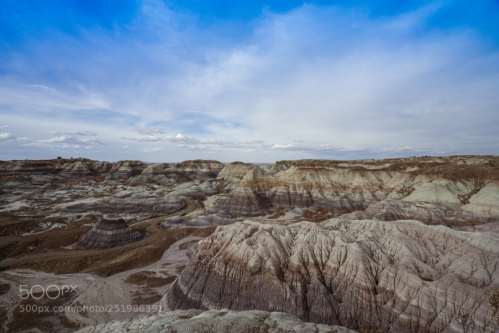 Sony a7R II sample photo. Blue mesa - petrified photography