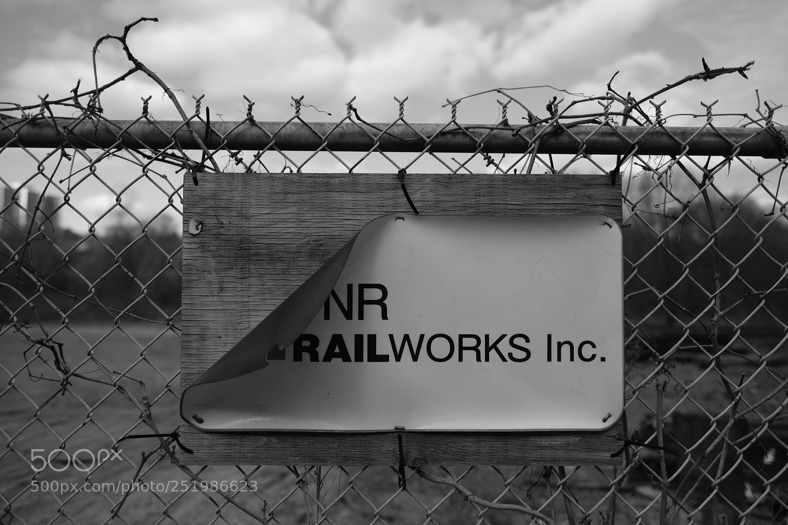 Fujifilm X-T2 sample photo. Untitled photography