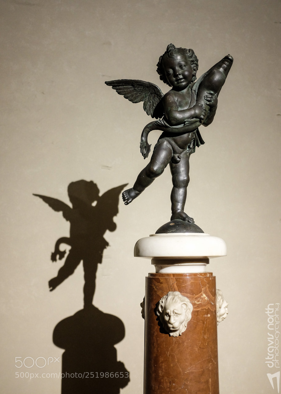 Fujifilm X100S sample photo. Palazzo vecchio cherub photography