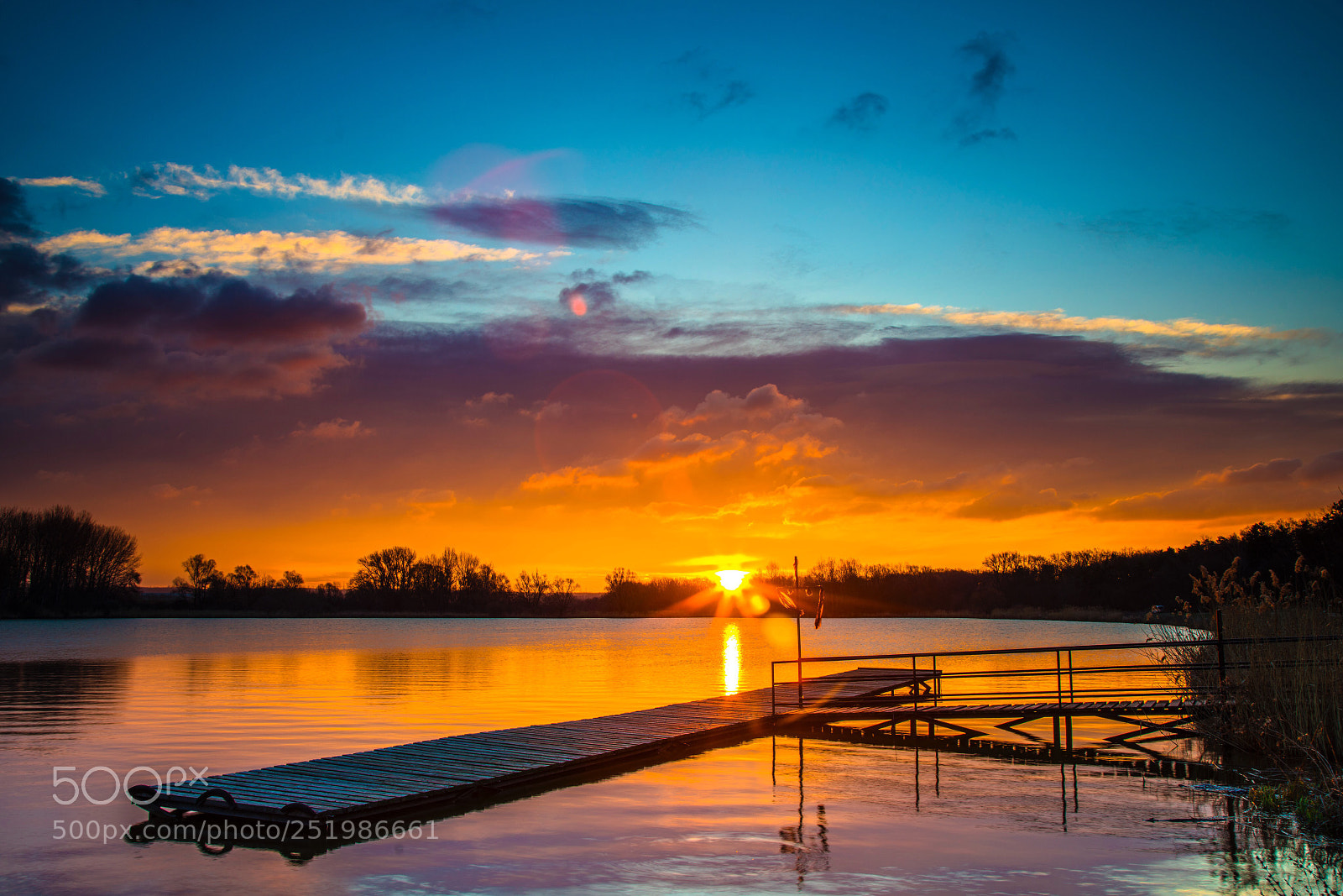 Sony a7R III sample photo. A wonderful spring morning photography