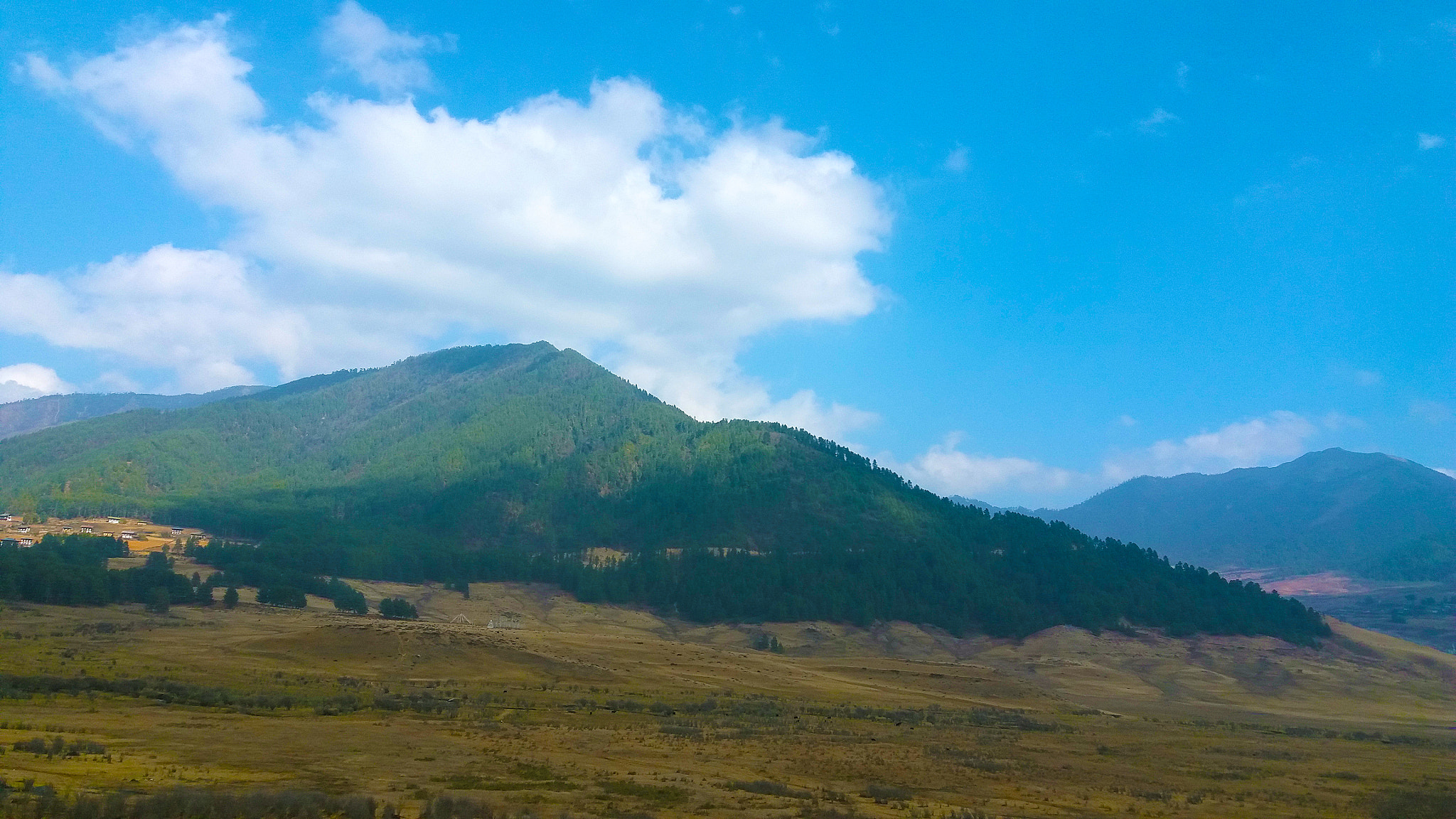 Samsung Galaxy A9 Pro sample photo. Phobjika valley, bhutan photography