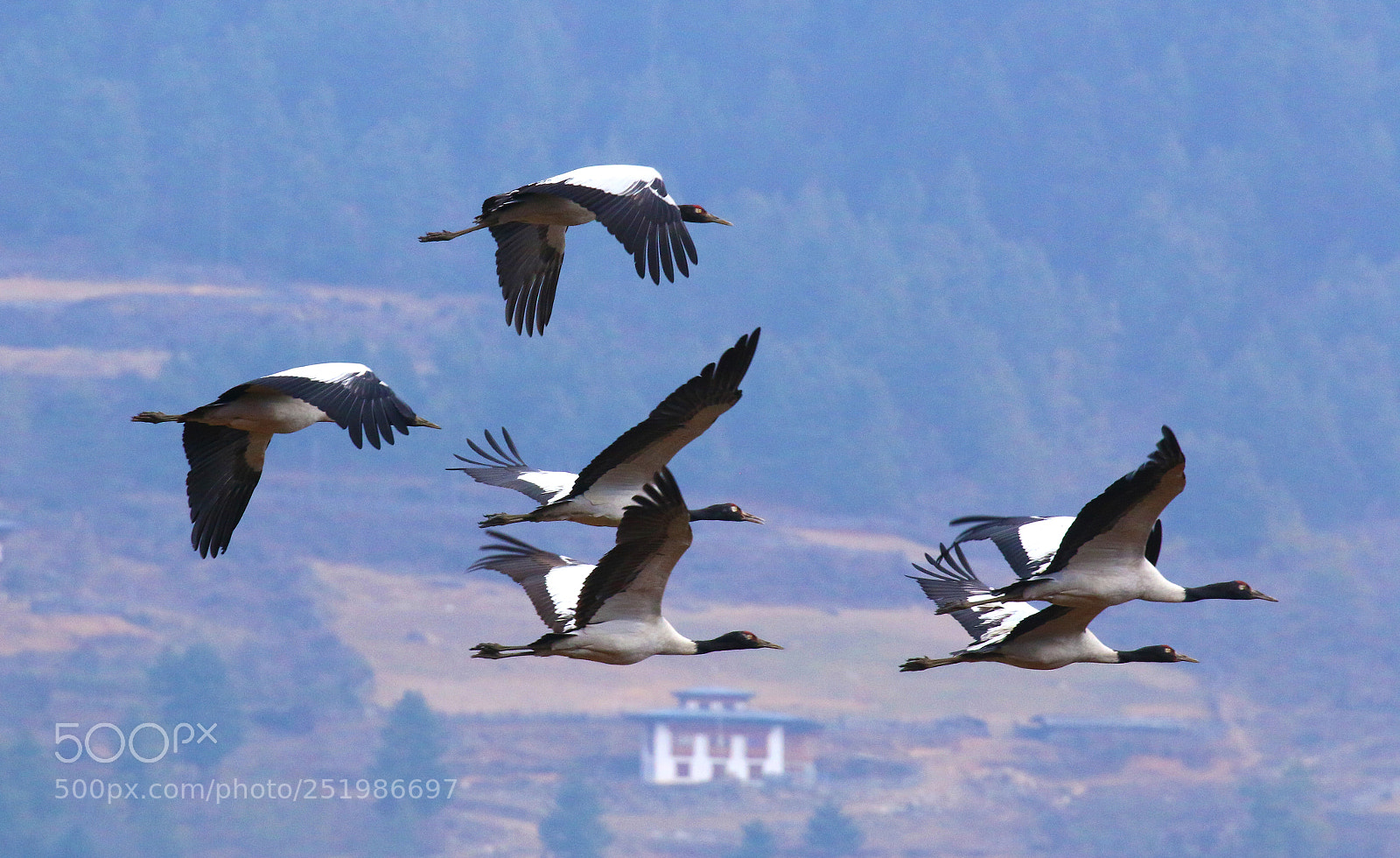 Canon EOS 70D sample photo. Valley flyers photography