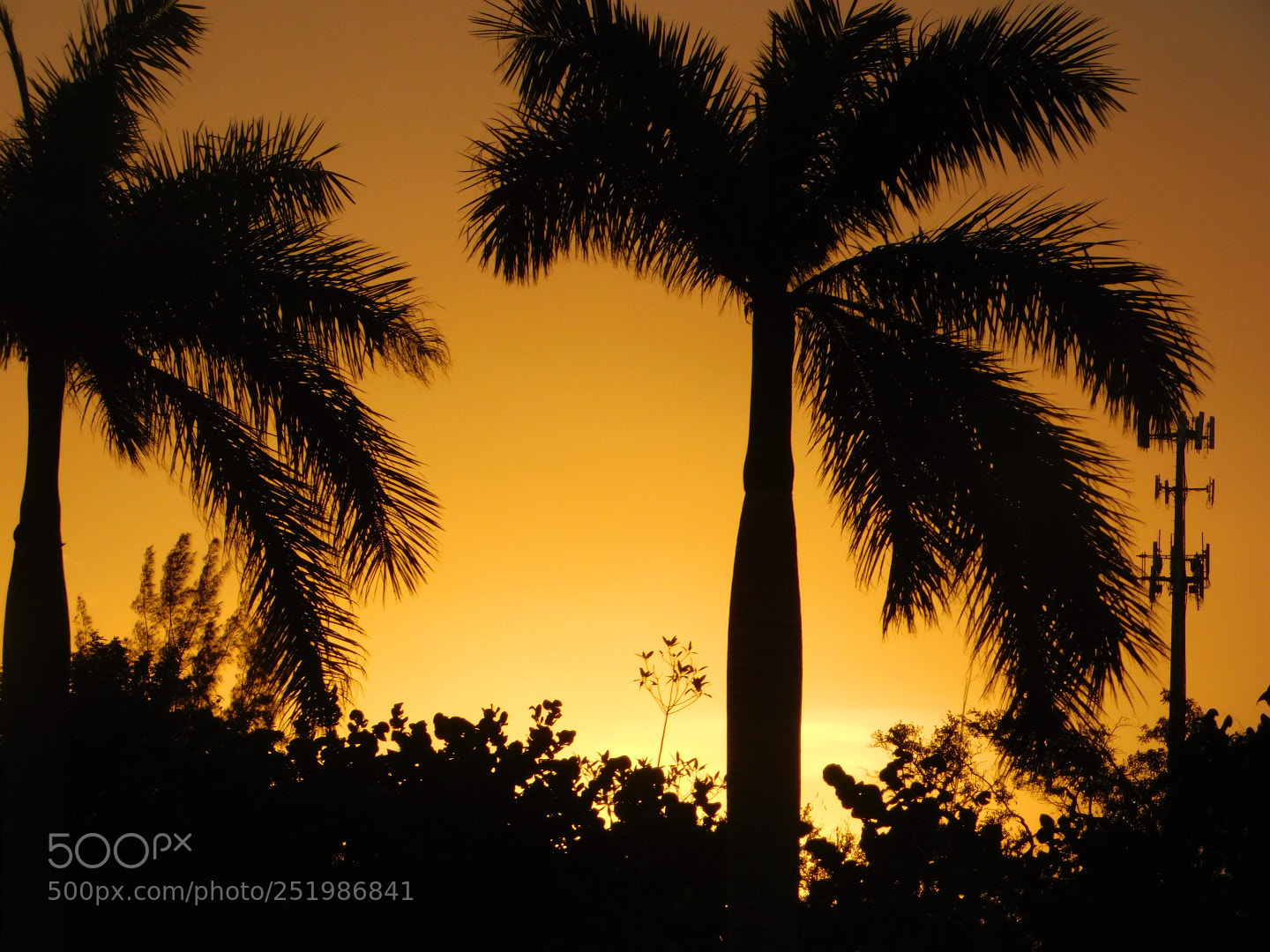 Nikon Coolpix B500 sample photo. Black sunset photography
