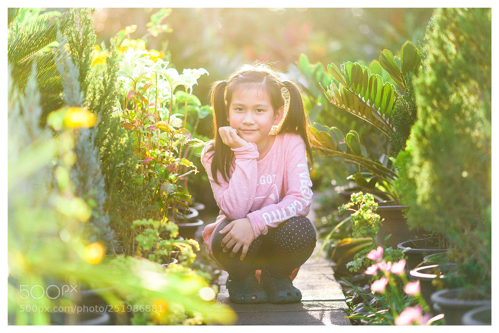 Nikon D610 sample photo. Untitled photography