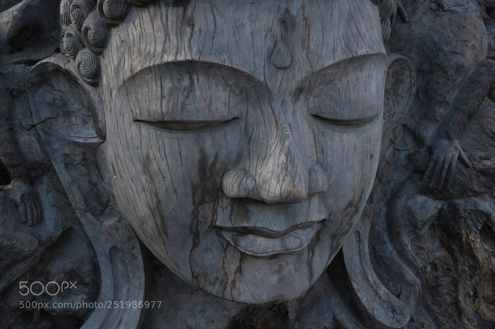 Nikon D3300 sample photo. Face of peace photography