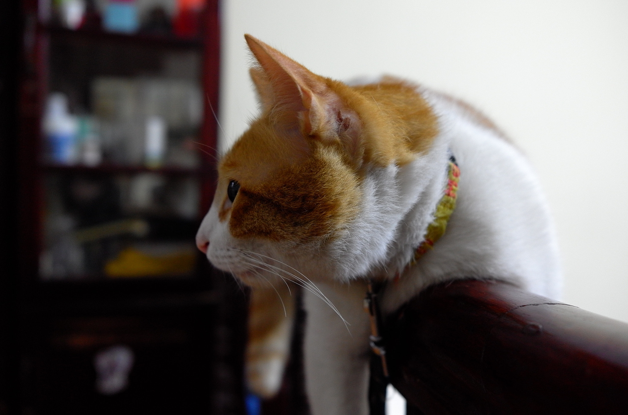 Leica X (Typ 113) sample photo