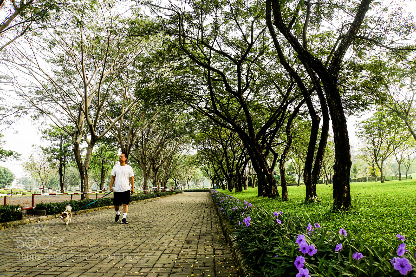 Sony a6000 sample photo. Morning in the park photography