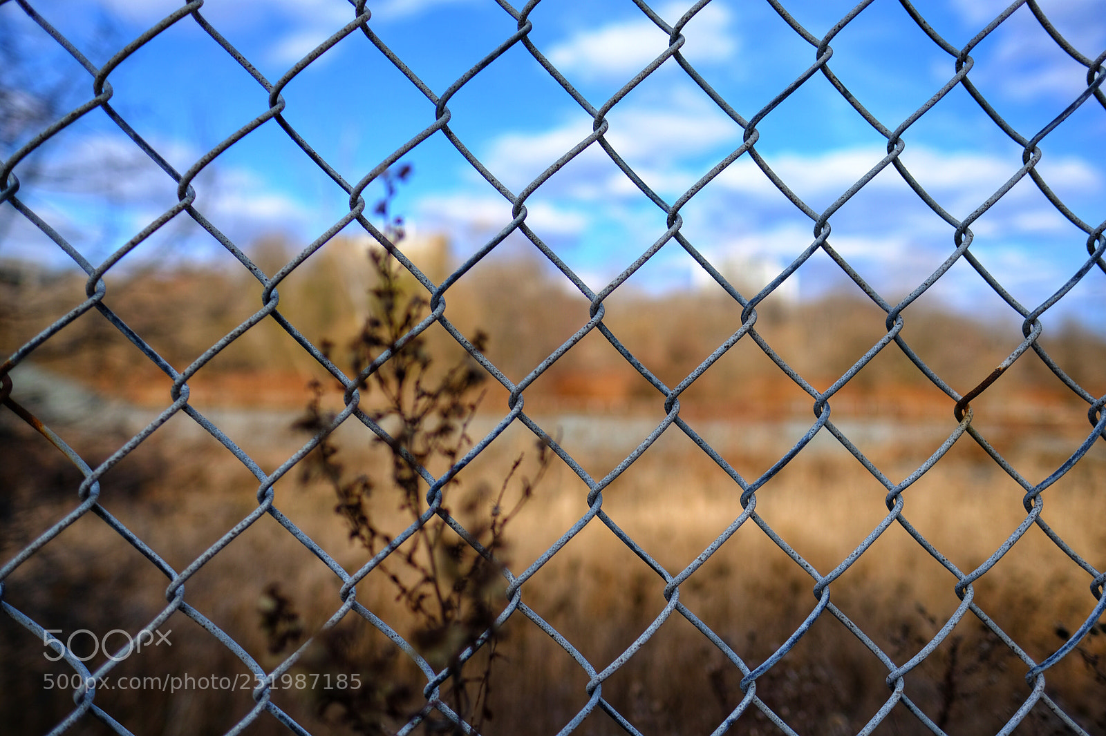 Fujifilm X-T2 sample photo. Untitled photography