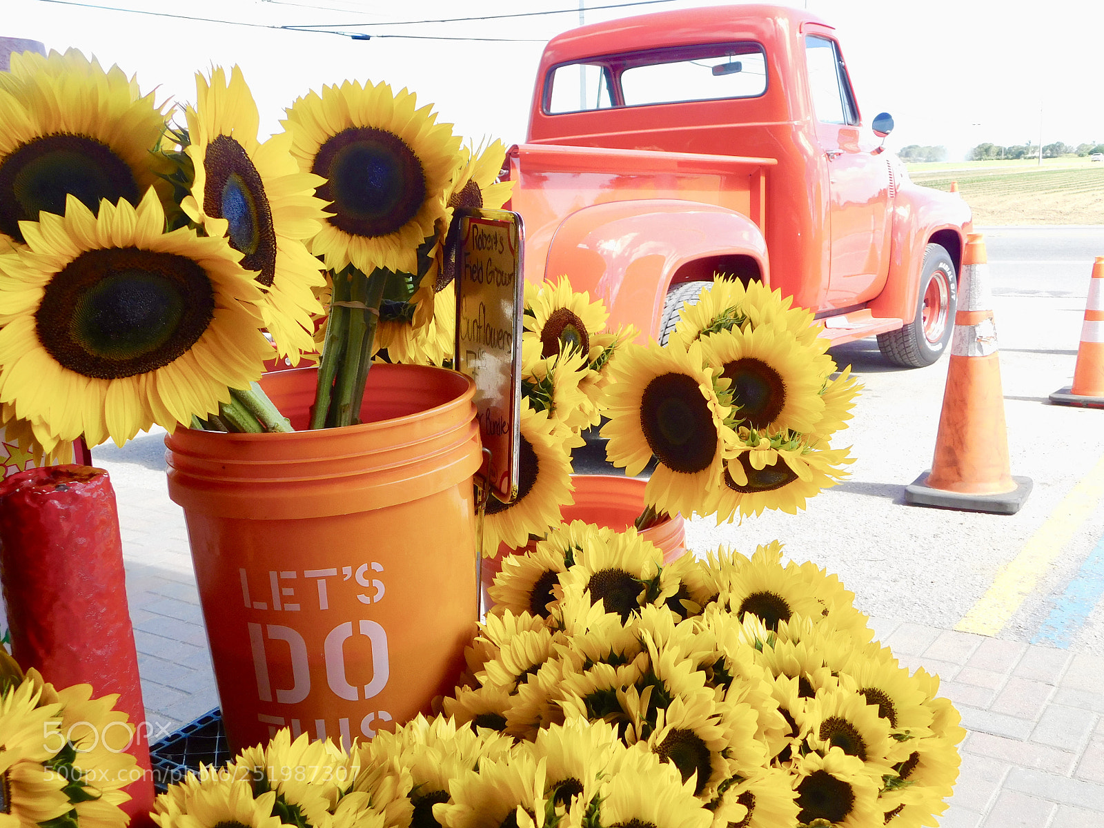 Nikon Coolpix B500 sample photo. Sunflower photography