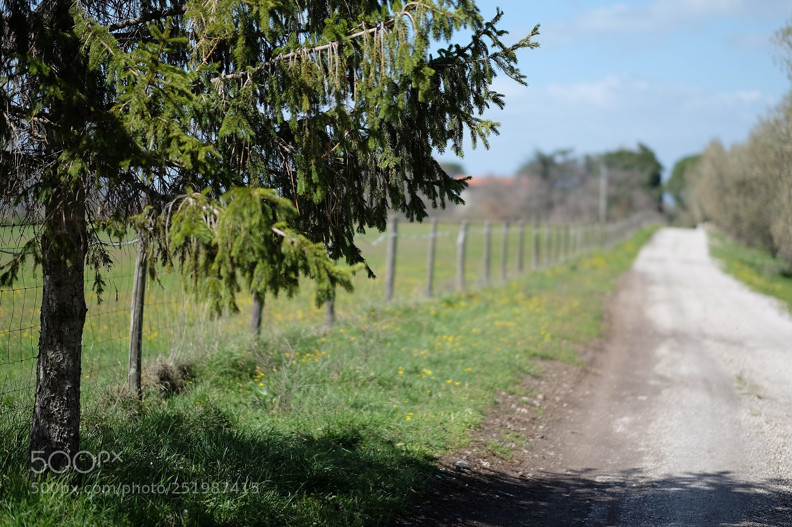 Fujifilm X-E2 sample photo. In campagna photography