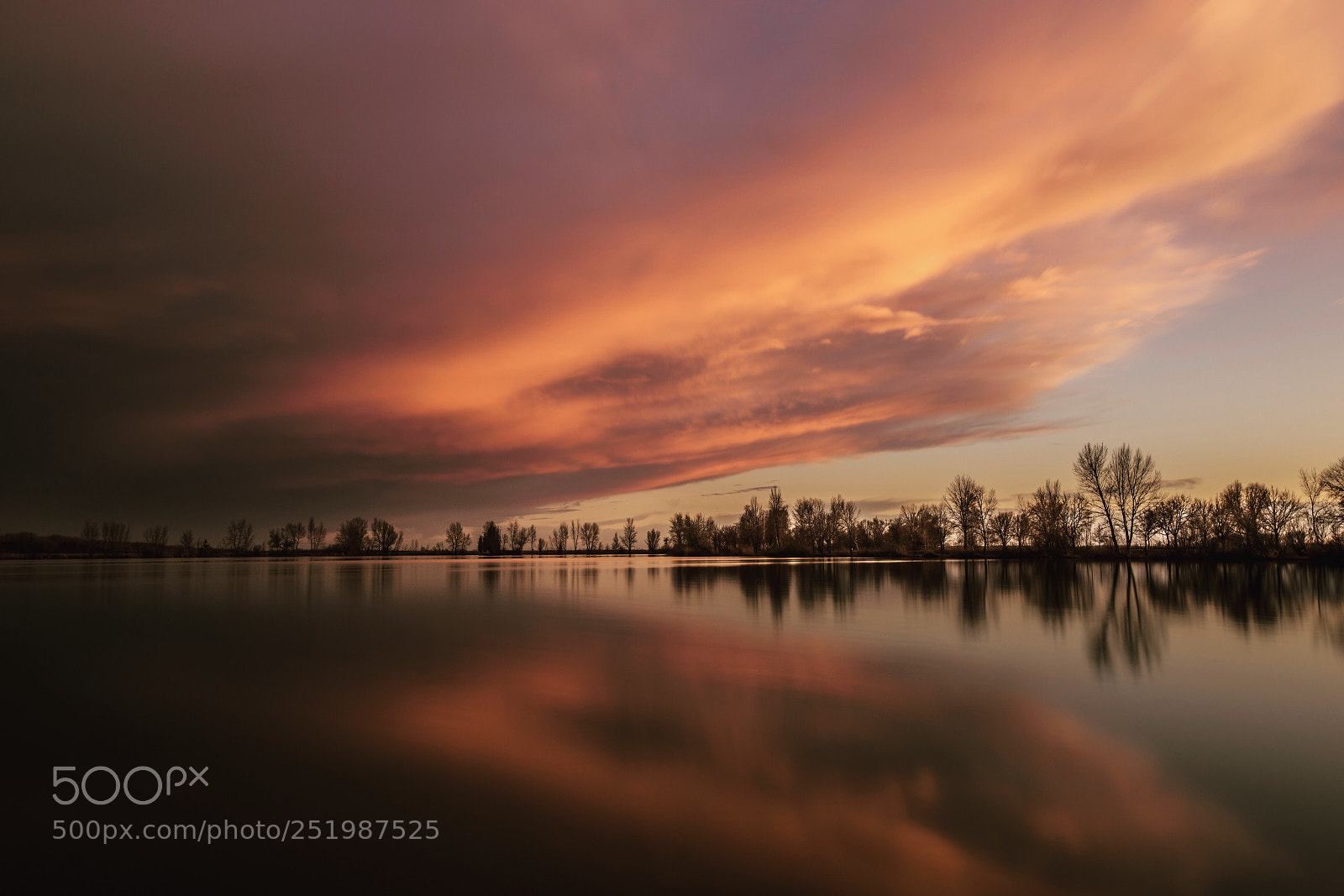 Nikon D610 sample photo. Open the sky photography