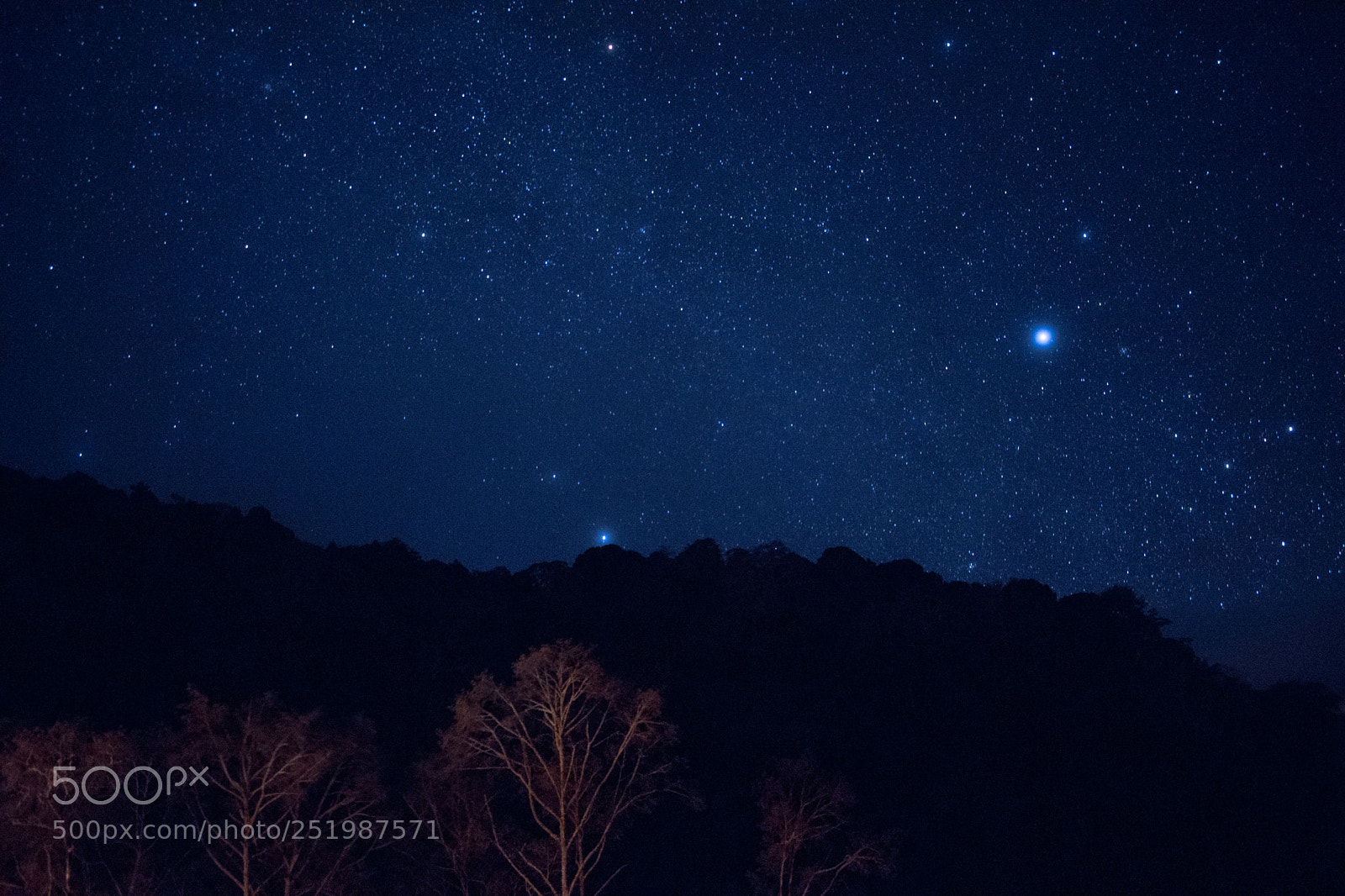 Nikon D5600 sample photo. Nightsky photography