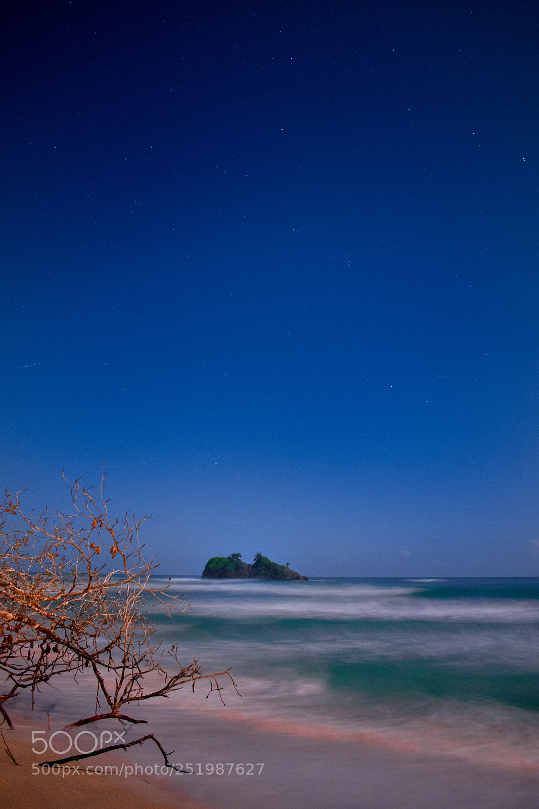 Nikon D5600 sample photo. Cocles full moon 2 photography