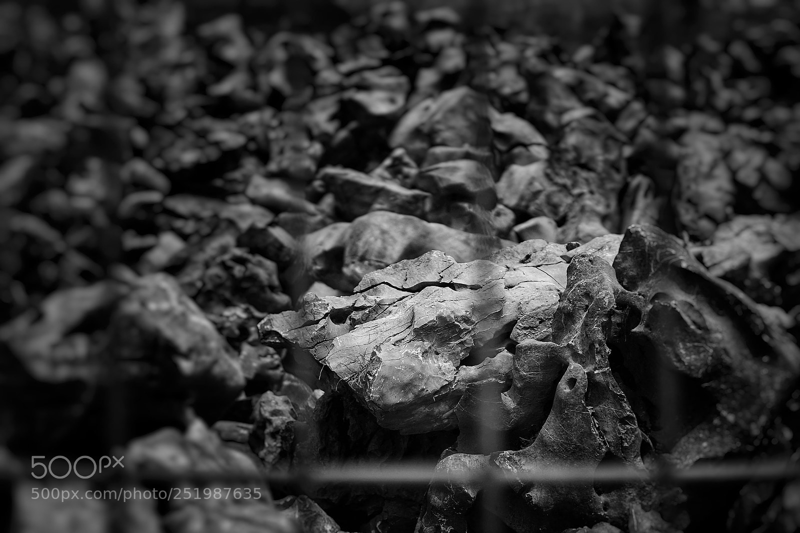 Sony a7 sample photo. Untitled photography