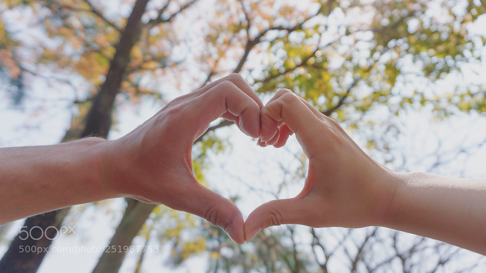 Sony a6000 sample photo. Untitled photography