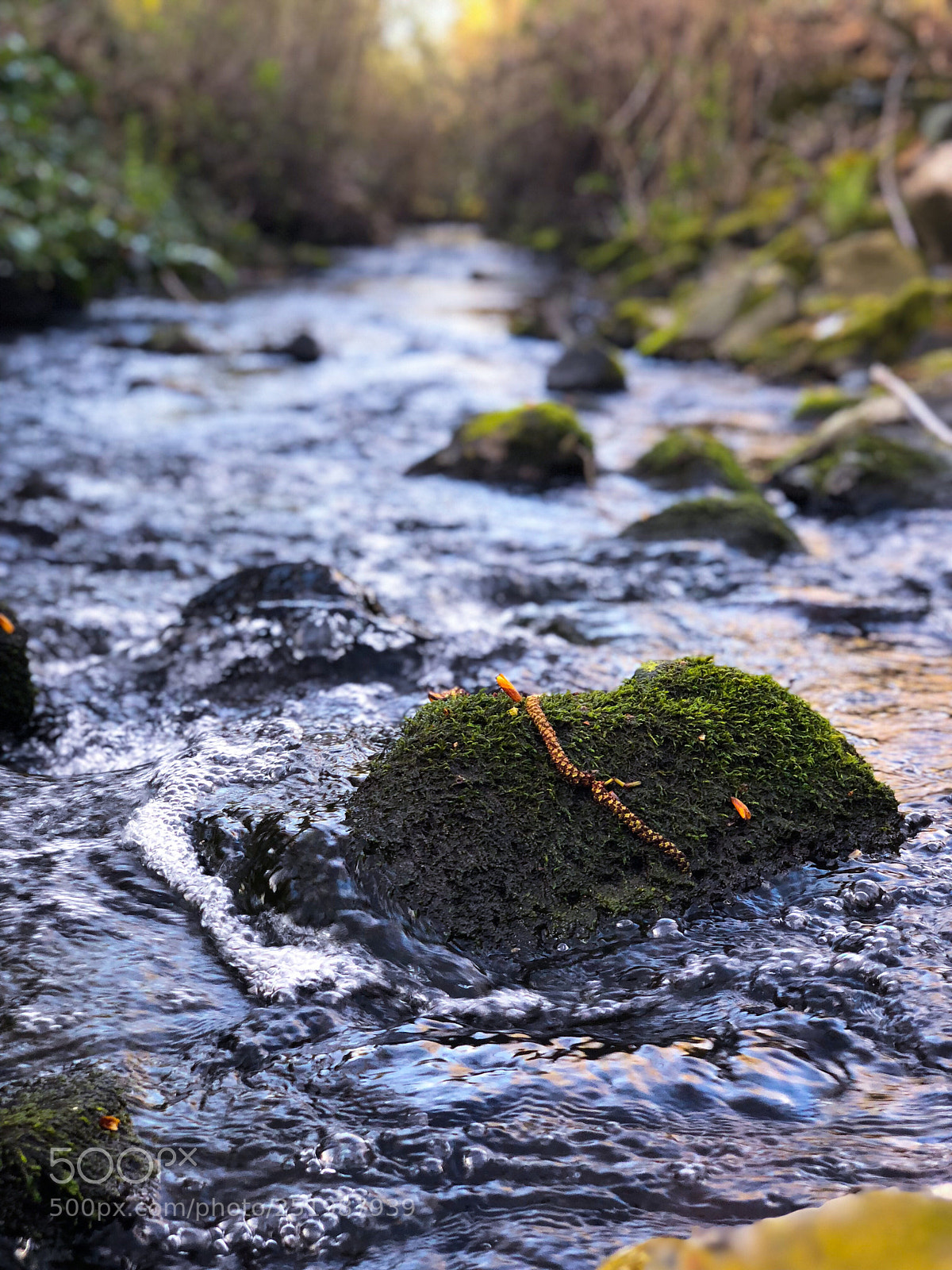 Apple iPhone X sample photo. Swan creek  photography