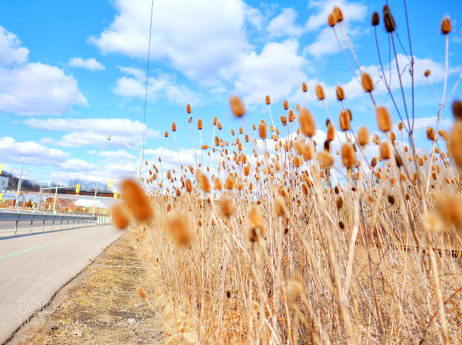 Fujifilm X-T2 sample photo. Untitled photography
