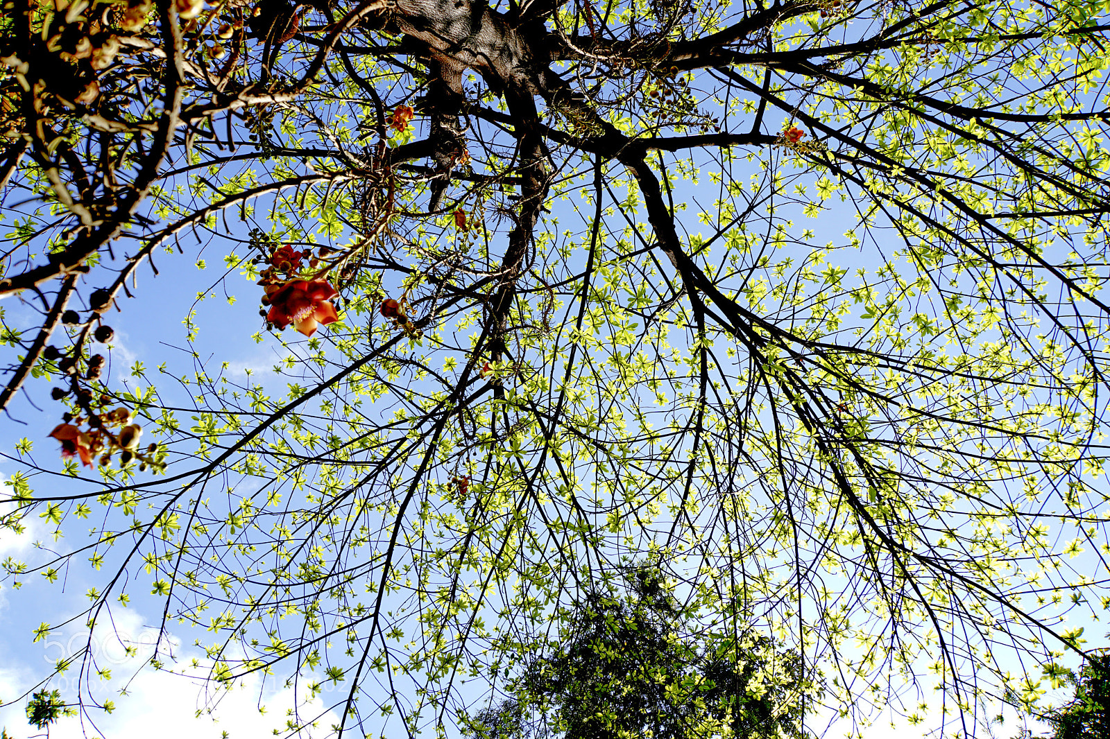 Sony a6000 sample photo. Shoots photography