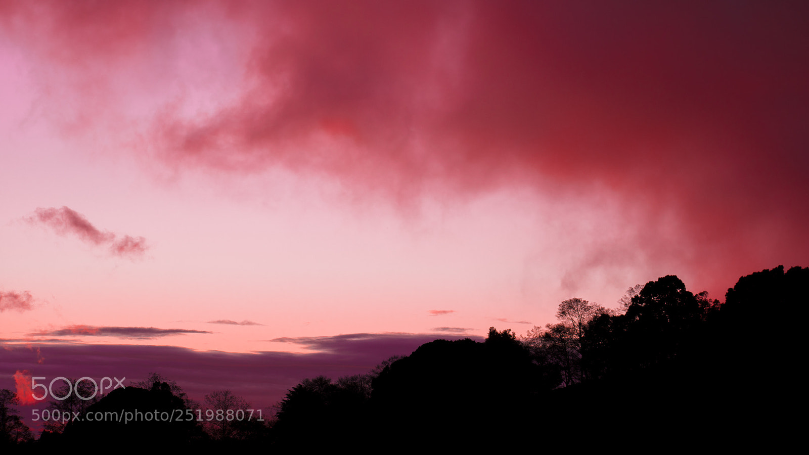 Nikon D5600 sample photo. Pink mountain profile photography