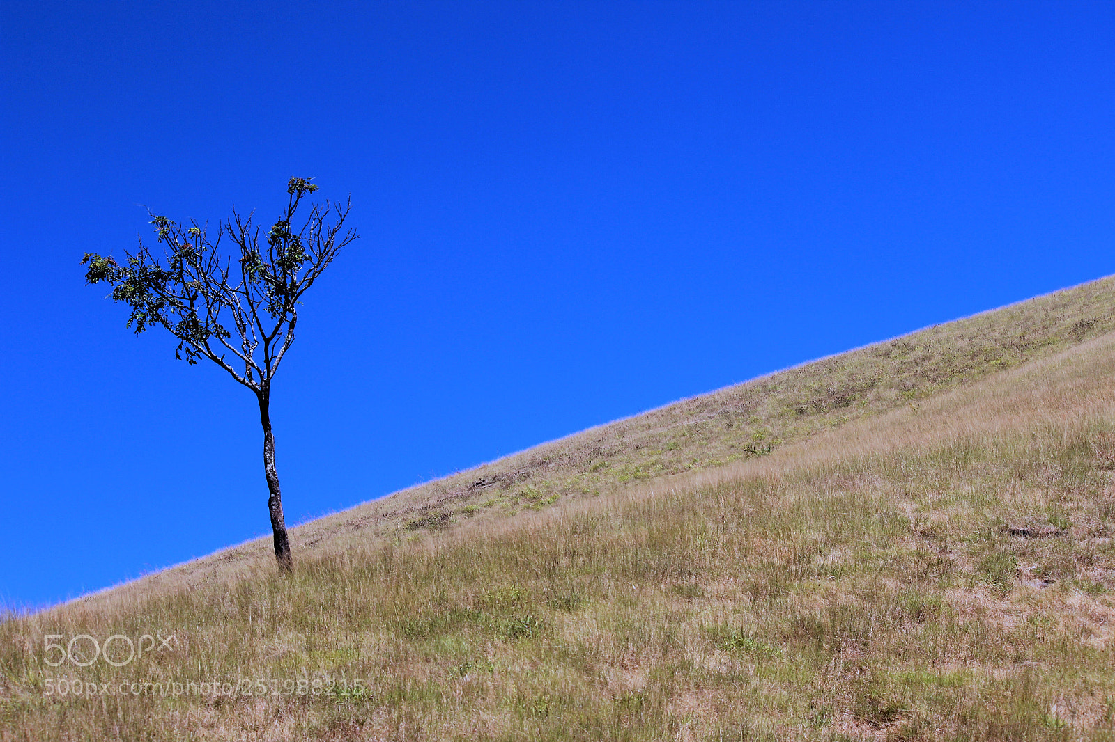 Canon EOS 600D (Rebel EOS T3i / EOS Kiss X5) sample photo. There is not better photography