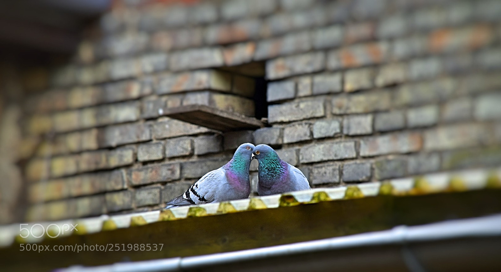 Nikon D5300 sample photo. Noch schnell ein k photography
