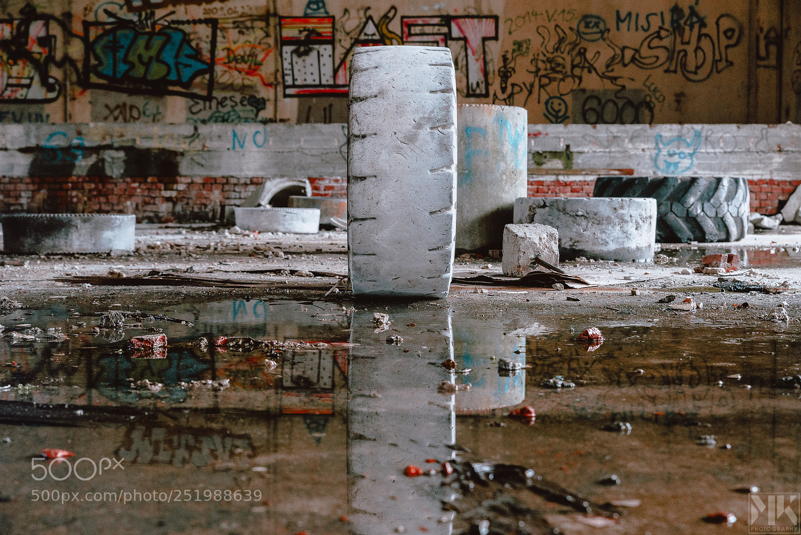 Nikon D610 sample photo. Abandoned photography
