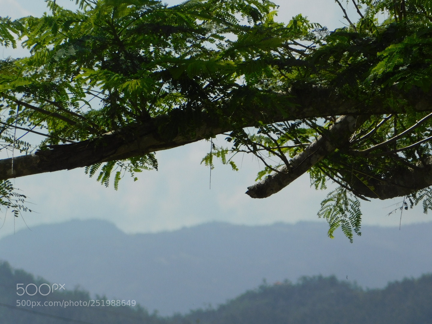 Nikon Coolpix B500 sample photo. The paradise photography