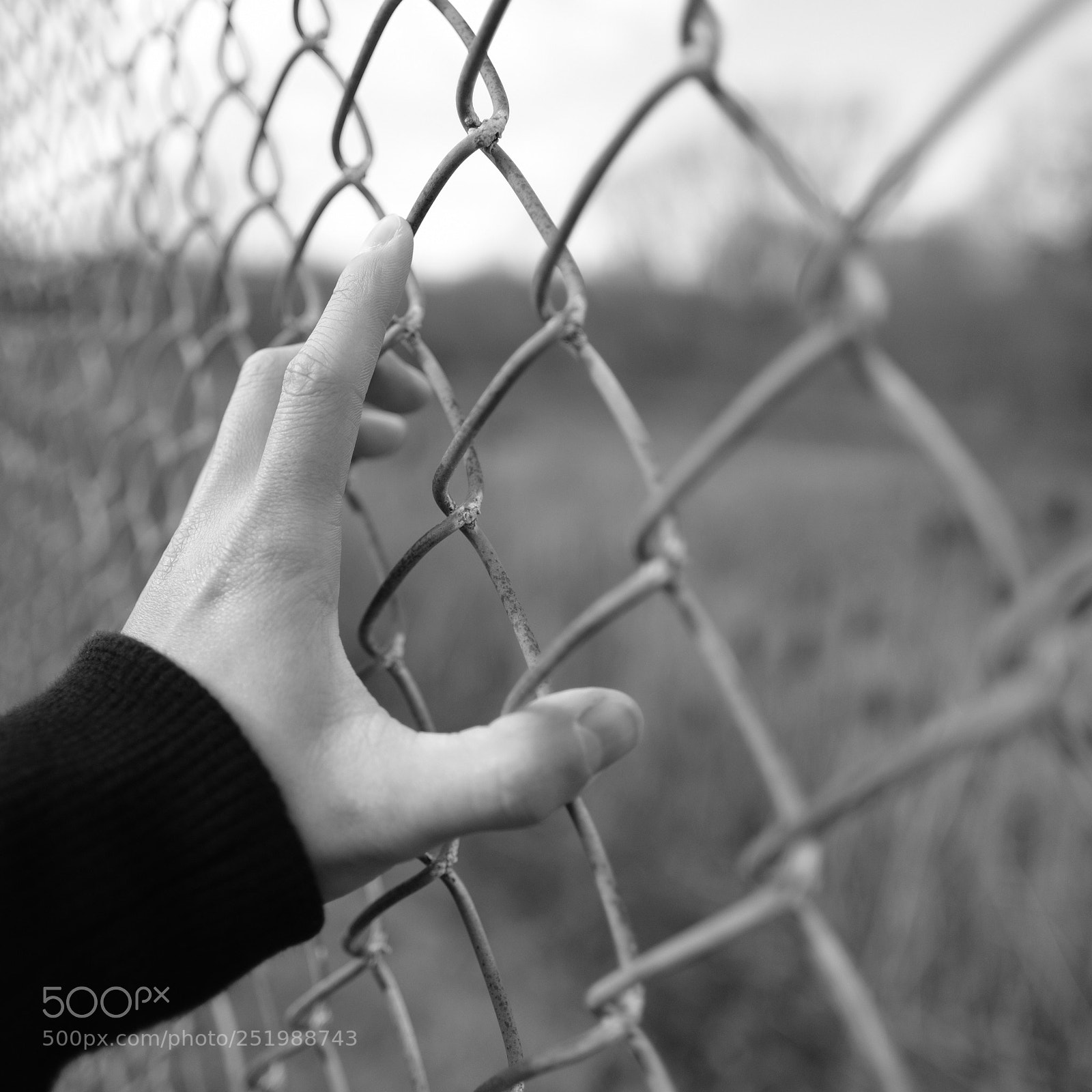 Fujifilm X-T2 sample photo. Untitled photography