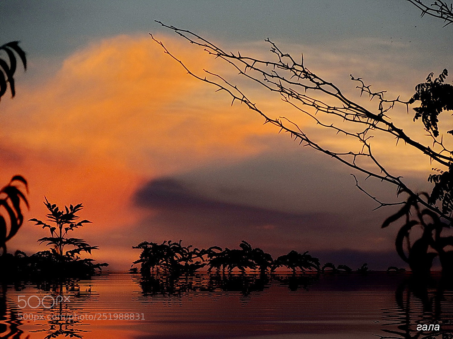 Sony Cyber-shot DSC-HX300 sample photo. Red clouds photography