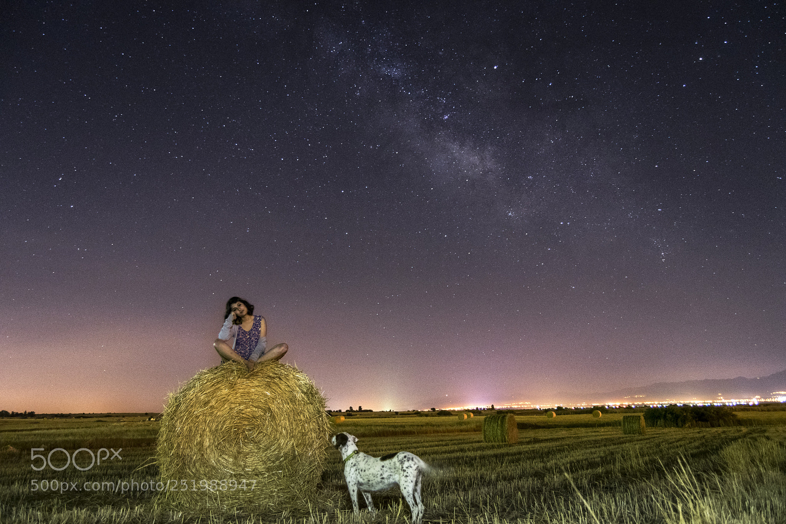 Nikon D3300 sample photo. The girl ,dog and photography