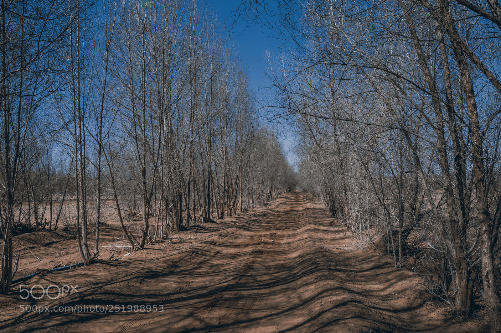 Nikon D7100 sample photo. Winter season photography