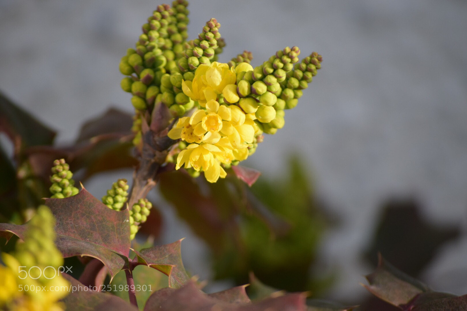 Nikon D5300 sample photo. Untitled photography