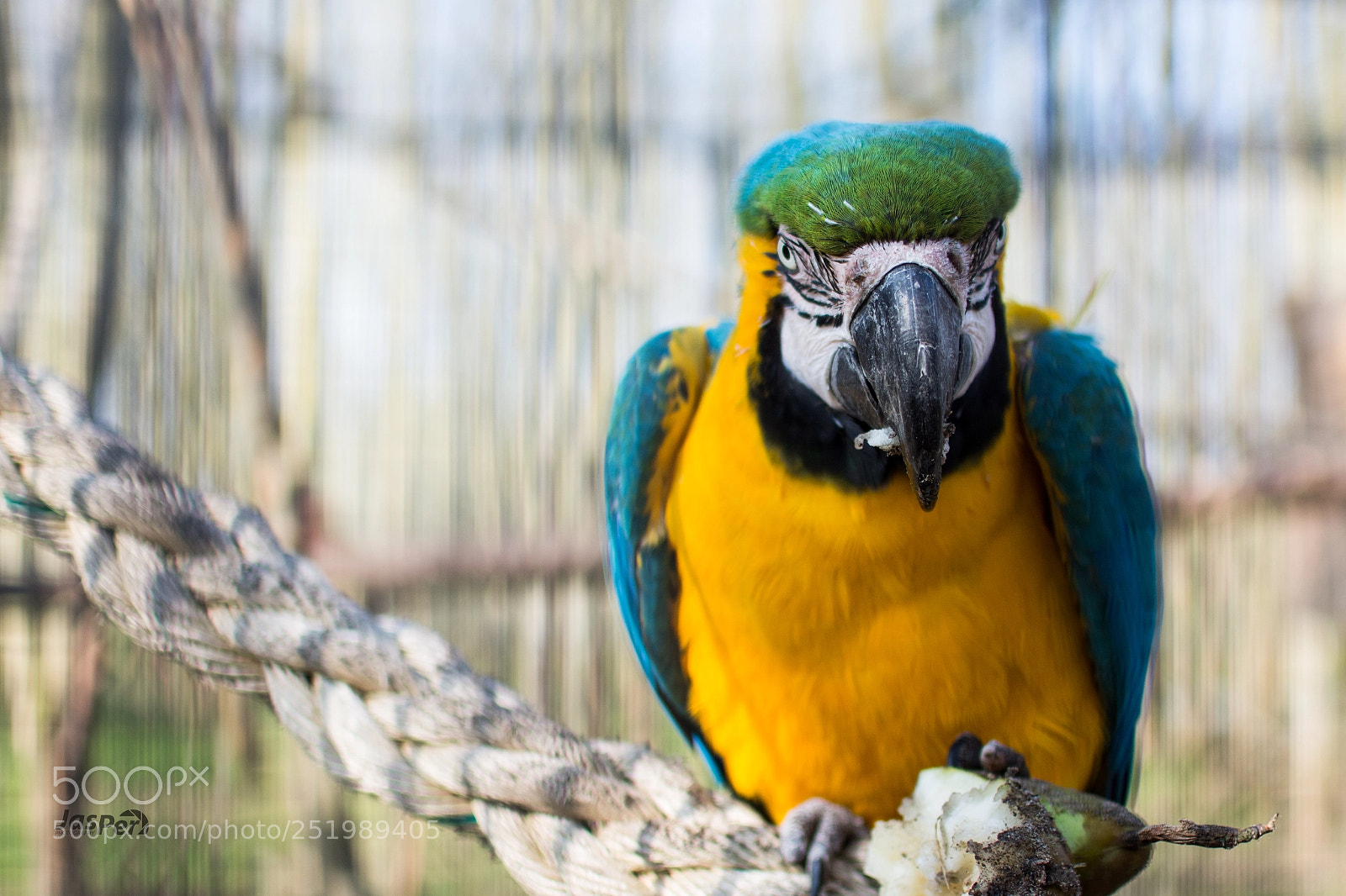 Nikon D7200 sample photo. Colorful photography