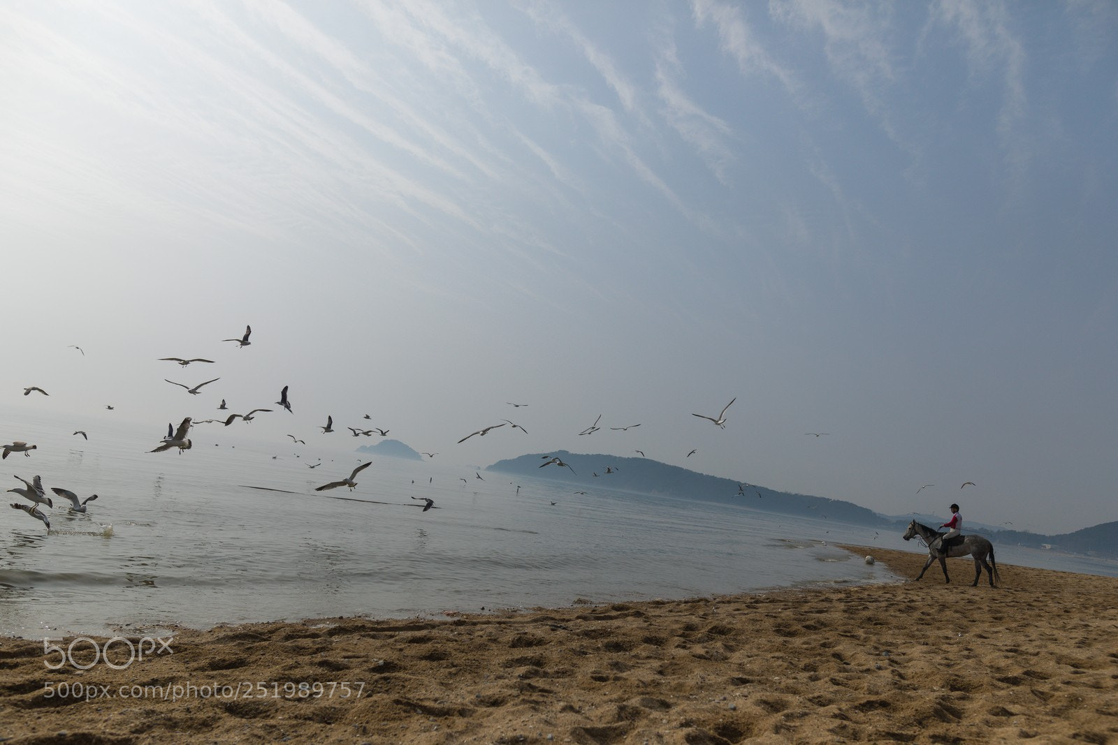 Canon EOS 5D Mark IV sample photo. 바다 말타기 photography