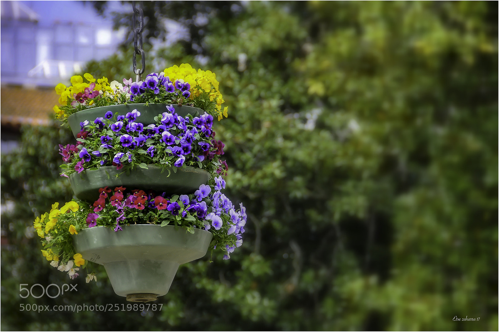 Nikon D300 sample photo. Paleta de colores photography