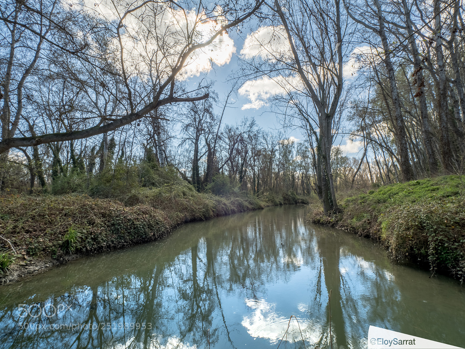 Olympus OM-D E-M5 II sample photo. Parc municipal de la photography