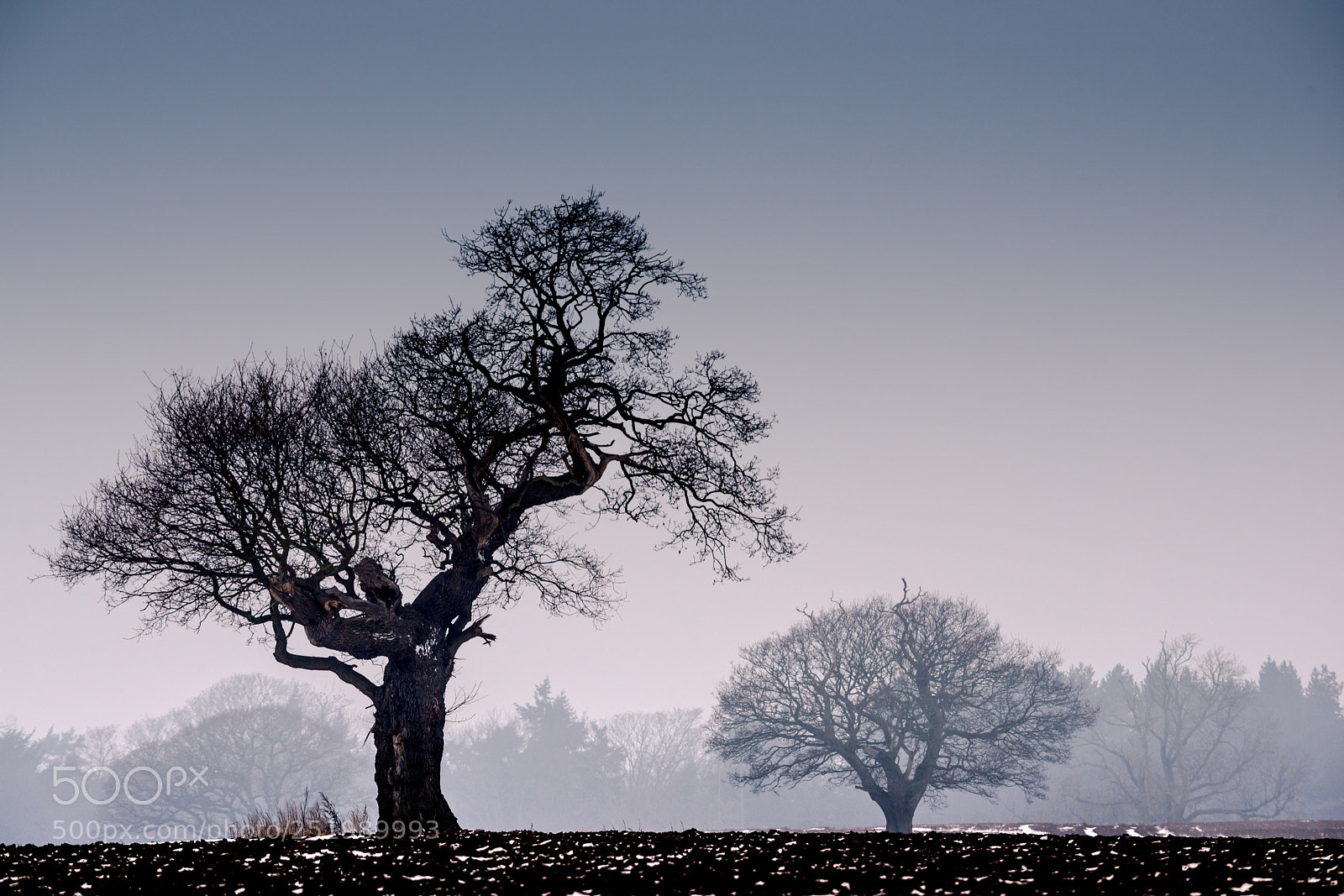 Nikon D800 sample photo. Serenity photography