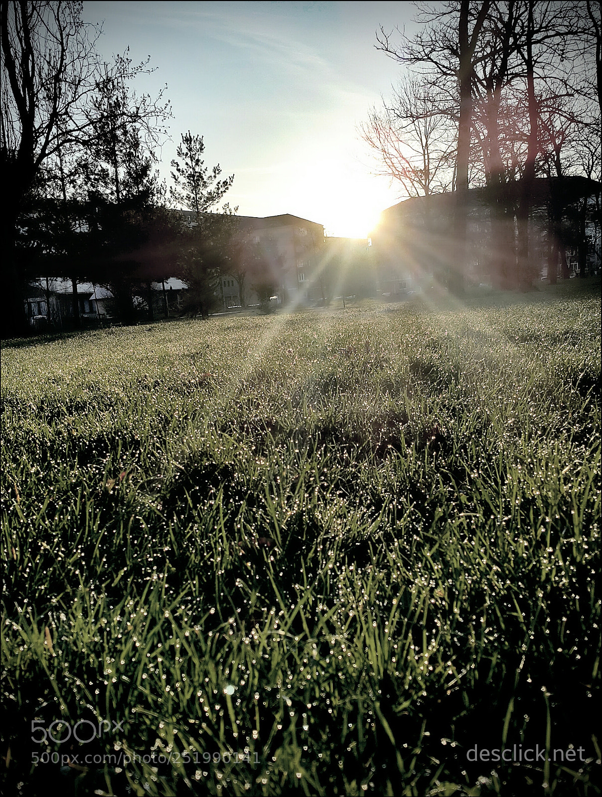 Samsung Galaxy Note4 sample photo. Meadow in the morning photography