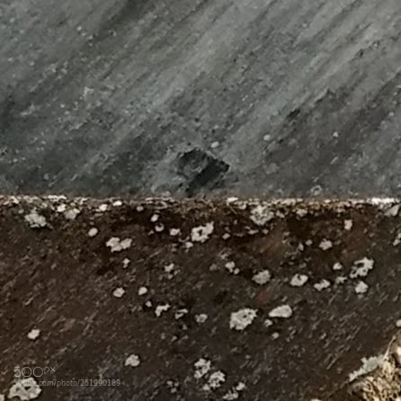 Motorola Moto G (5) Plus sample photo. Interface5 photography