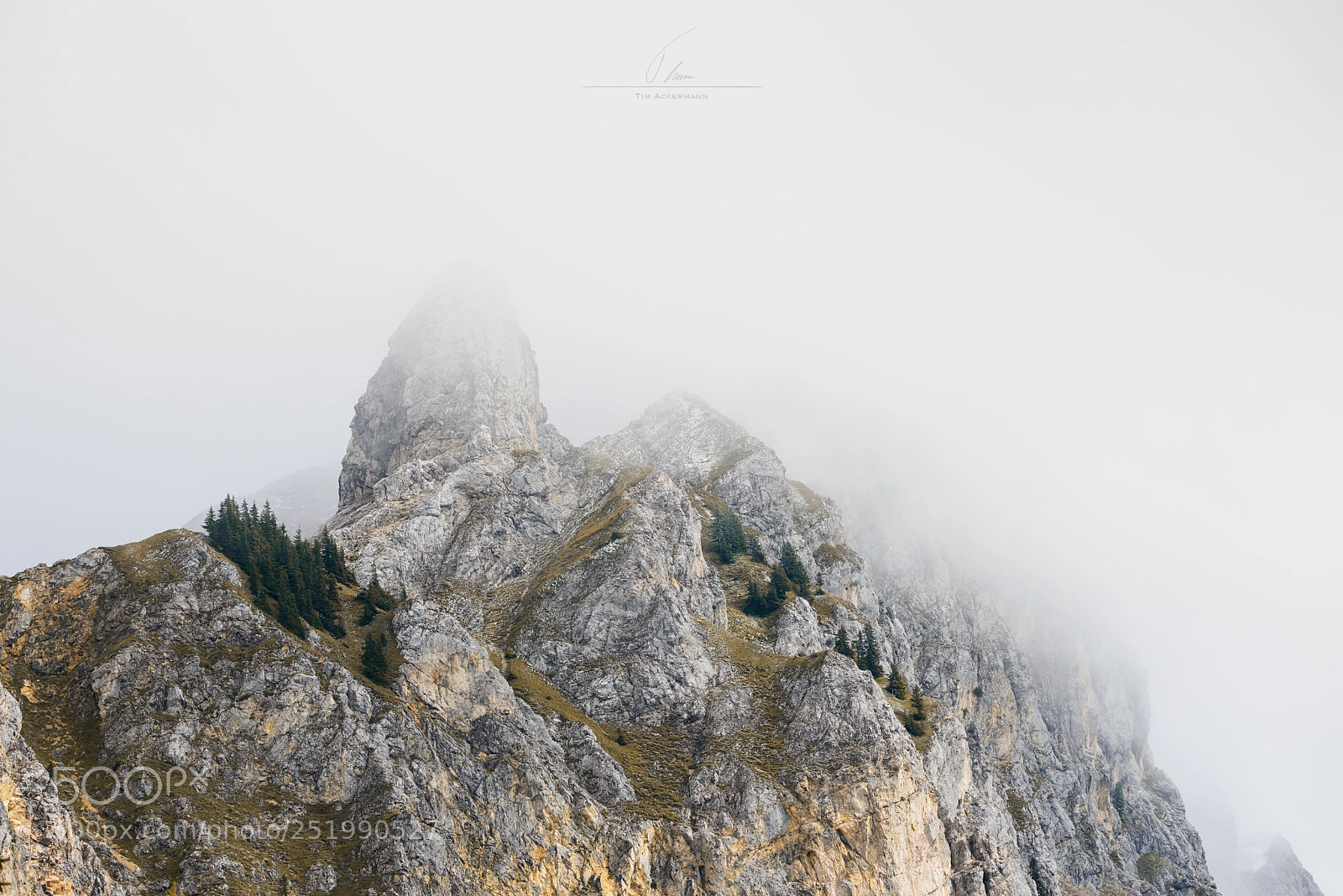 Nikon D610 sample photo. Foggy summit photography