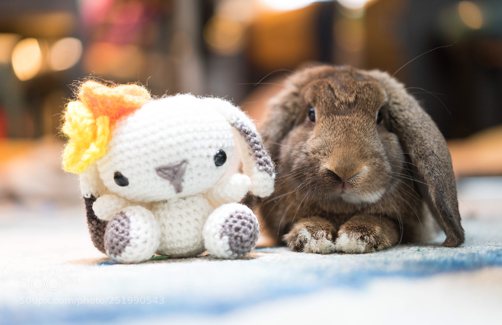 Sony a7R III sample photo. Happy easter from the photography